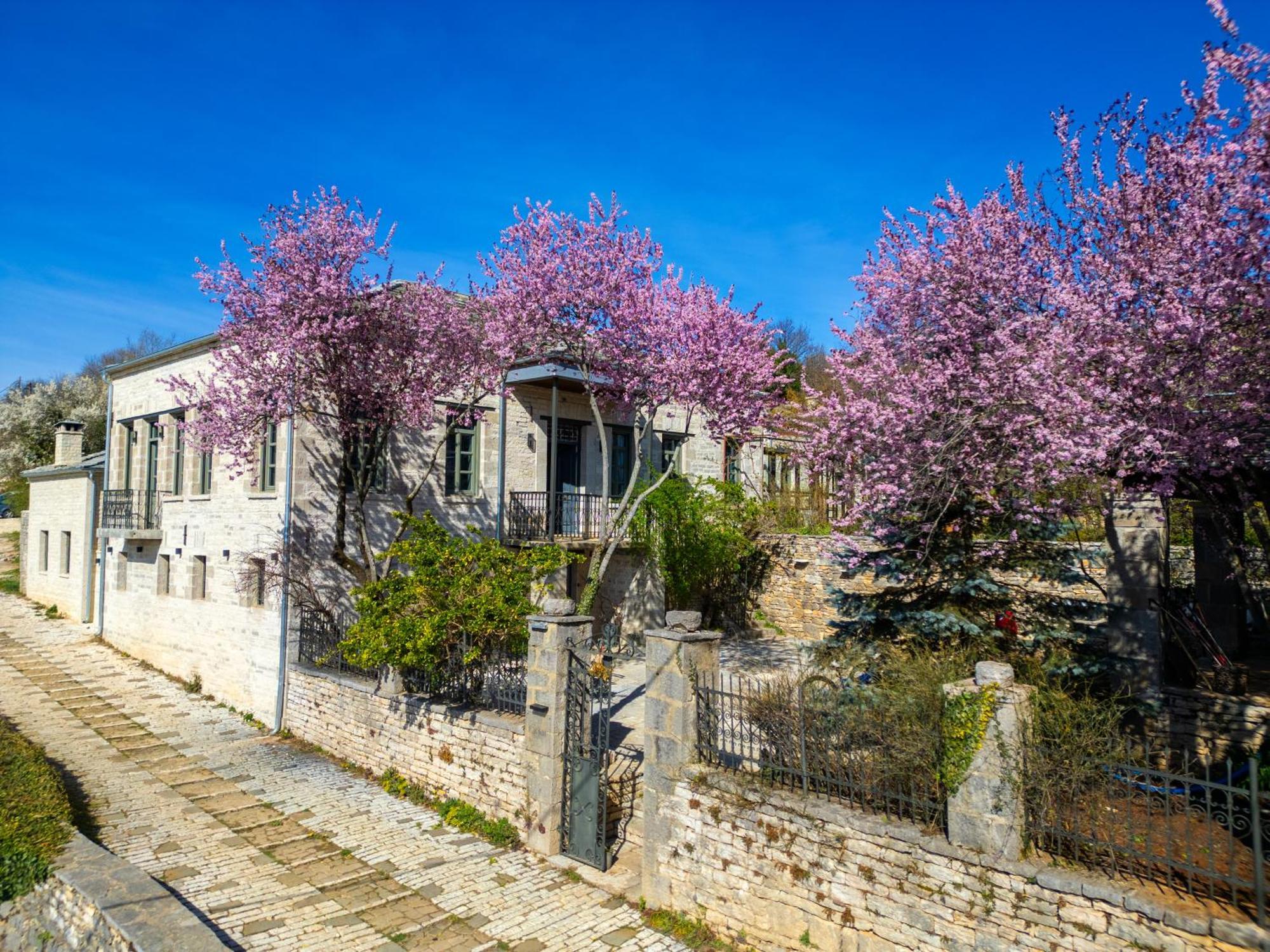 Отель Katikia Zagori Витса Экстерьер фото